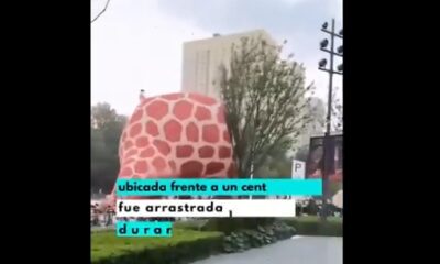 Jirafa inflable gigante vuela por vientos en China