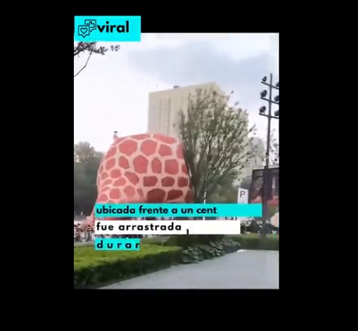 Jirafa inflable gigante vuela por vientos en China