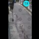 Captan en video abandono de gatito en Guadalupe Hidalgo; ya fue adoptado