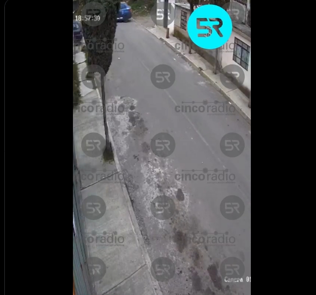 Captan en video abandono de gatito en Guadalupe Hidalgo; ya fue adoptado