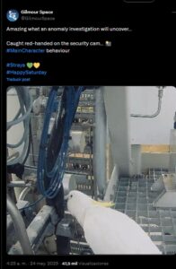 Una cacatúa provocó una falla eléctrica que detuvo el primer lanzamiento espacial de Australia. El intento se reprogramará, según Gilmour Space.