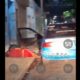 En Tehuacán, un taxista fue grabado dormido afuera de su unidad, presuntamente ebrio. Ocurrió en la calle 4 Poniente; el video se viralizó.