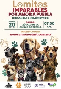 Carrera “Lomitos Imparables” llegará al Zócalo de Puebla