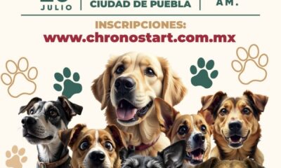 Carrera “Lomitos Imparables” llegará al Zócalo de Puebla