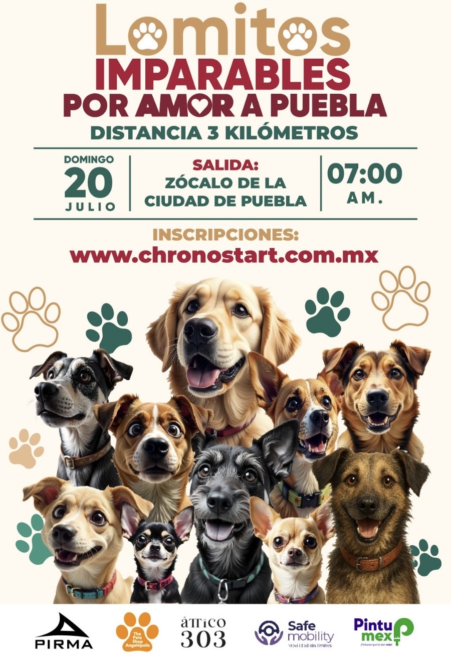 Carrera “Lomitos Imparables” llegará al Zócalo de Puebla