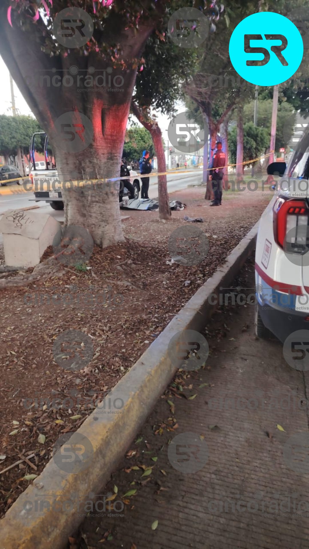 Muere adulto mayor al caer desde 4 metros en Teziutlán