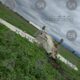 Confirman aterrizaje forzoso de avioneta en Huejotzingo. No hay heridos graves; autoridades investigan causas y realizan búsqueda en el área.