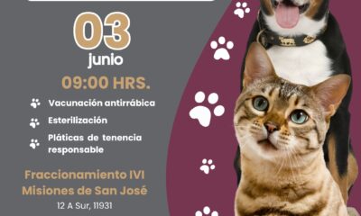 El municipio de Puebla ofrece esterilización y vacunación gratuitas para mascotas este 3 de junio en Misiones de San José 1.