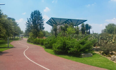 Parque Bicentenario reabrirá el 1 de julio tras tragedia en festival AXE Ceremonia