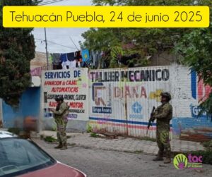 Derivado de una denuncia ciudadana por el abandono de perros en un predio ubicado en la calle Daniel González, en Tehuacán, la asociación TAC Una Protección al Entorno A.C. coadyuvó con la Fiscalía en la atención inmediata del caso