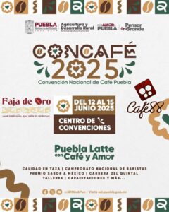 CONCAFÉ 2025 reunirá en Puebla a más de 120 caficultores y expertos del 12 al 15 de junio para promover una producción sustentable y de calidad