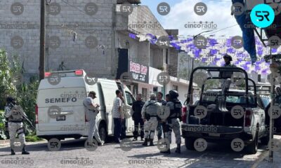 Hallan a perro con feto humano en el hocico en Tlaxcala
