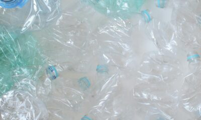 E. coli modificada convierte residuos plásticos en paracetamol en 24 horas