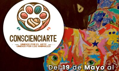 🖼️ Exposición de Lourdes Gil y Gil promueve empatía animal
