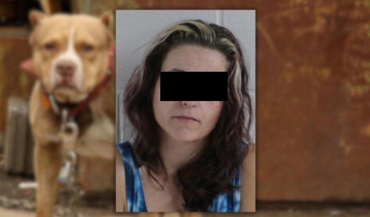 19 años de prisión a madre por ataque de pitbull a su hijo