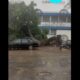Cae árbol y derriba muro de primaria en la 24 Sur; hay cables en el suelo