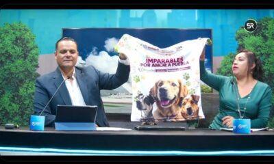 Busca generar conciencia sobre la tenencia responsable de animales; la carrera será el 20 de julio con salida en el Zócalo de Puebla