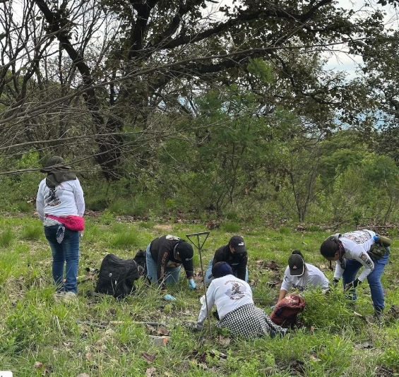 El descubrimiento realizado por Guerreros Buscadores en un campamento refuerza la preocupación por la presencia de grupos delictivos y la crisis de desapariciones en la entidad. (Facebook Guerreros Buscadores De Jalisco)