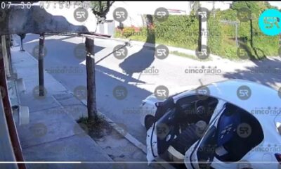 ¡Indignante! Captan a persona defecando en la vía pública en Guadalupe Hidalgo