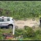 Niño camina solo por la autopista buscando a su papá; fue resguardado por la Policía