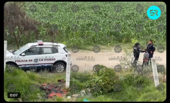 Niño camina solo por la autopista buscando a su papá; fue resguardado por la Policía