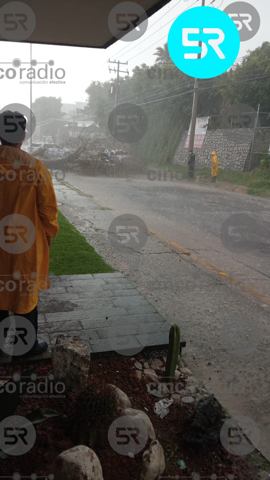 Joven resulta herida por la caída de un árbol durante fuerte lluvia en Puebla Puebla, Pue. – La fuerte lluvia registrada la tarde de este martes provocó la caída de un árbol sobre una joven en la calle Tehuacán Sur, en la colonia La Paz, al momento en que transitaba por la zona. Vecinos solicitaron el apoyo de los cuerpos de emergencia, por lo que elementos de la Secretaría de Seguridad Ciudadana y Protección Civil Municipal acudieron de inmediato para brindar atención a la víctima. La joven recibió primeros auxilios en el lugar y fue trasladada a un hospital para su valoración médica. Además del árbol, un poste fue derribado por la fuerza del viento, por lo que se realizaron labores para retirarlos y liberar la vialidad. Autoridades municipales exhortaron a la población a mantenerse atenta a las condiciones del clima y reportar cualquier emergencia al 911 o a los números de Protección Civil. ¿Quieres agregar fotos, testimonios o más contexto sobre las lluvias en Puebla?