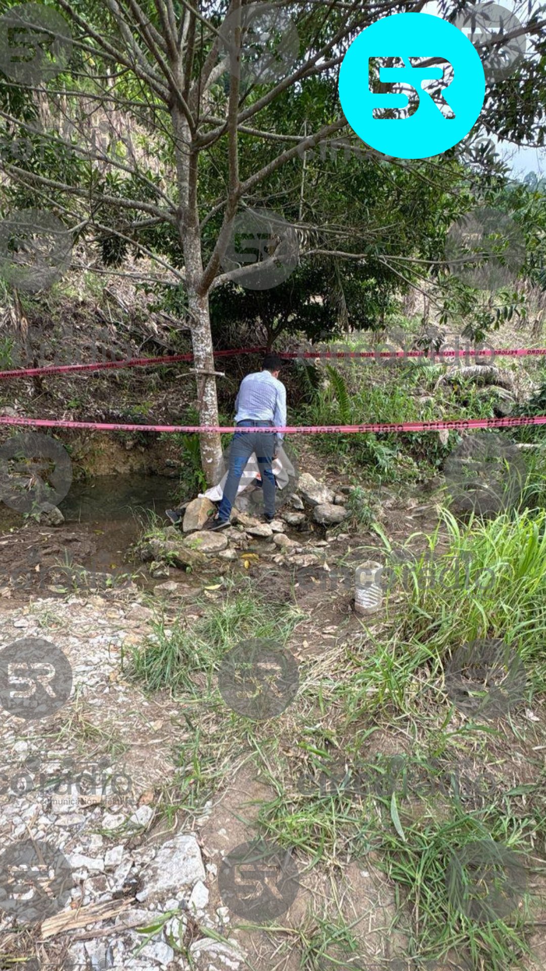 Hombre muere tras ataque de abejas en el cerro de Tajitepec, Hueytamalco