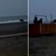 🎥 Fiesta de osos es interrumpida por un auto en Rusia