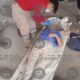 Cuatro trabajadores cayeron de una azotea mientras hacían colado en una casa de Papalotla, Tlaxcala. Uno fue trasladado al hospital; está estable.