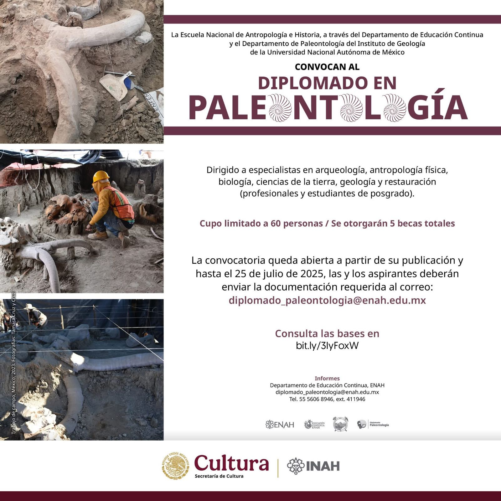 Abren convocatoria para el Diplomado en Paleontología ENAH–UNAM