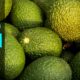 Con el nuevo protocolo fitosanitario, Brasil abre sus puertas al aguacate mexicano, ampliando el alcance de este producto a más de 200 millones de consumidores.
