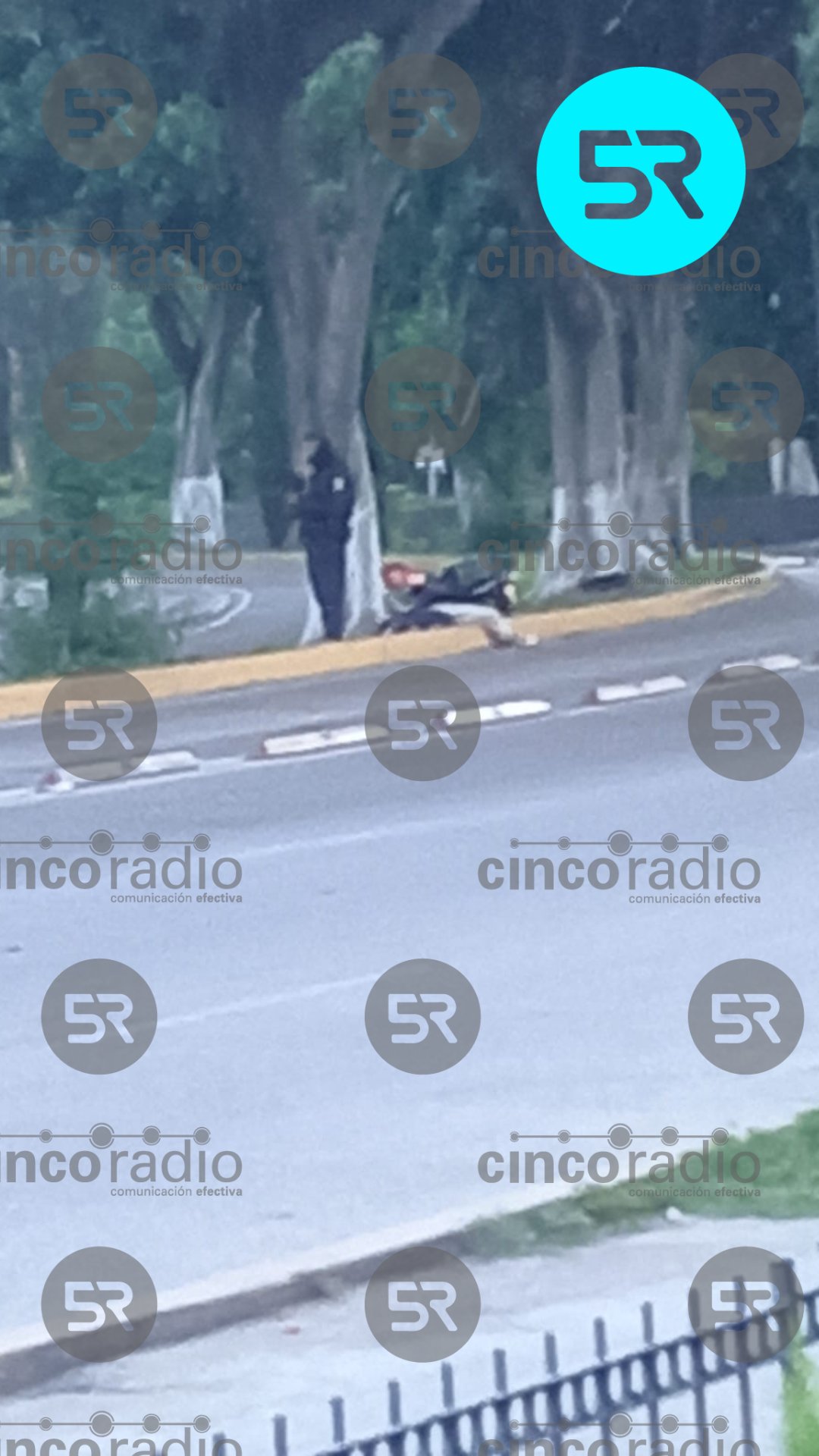 Motociclista choca contra árbol en el Bulevar 5 de Mayo; paramédicos de SUMA atienden en el sitio. Se presume que iba bajo efectos del alcohol.