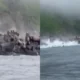 Leones marinos saltan al mar tras el sismo de Kamchatka. Un turista grabó la escena desde un barco cerca de la isla Antsiferov. No hubo heridos.