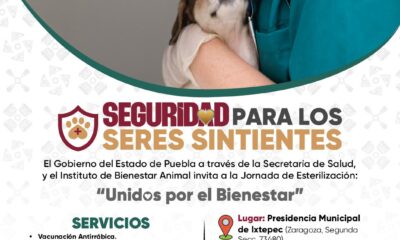 Jornada de esterilización en Ixtepec, este 4 de julio