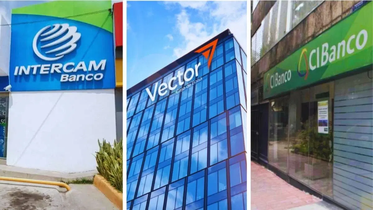 CIBanco SA, Intercam Banco SA y la casa de bolsa Vector Casa de Bolsa SA