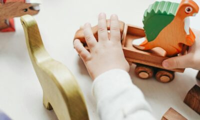 DIF Puebla Capital realizará Taller de Verano para niñas y niños
