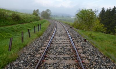 Mientras avanza la licitación del Ferrogrão, organizaciones sociales alertan sobre los riesgos ecológicos y sociales del megaproyecto apoyado por China.