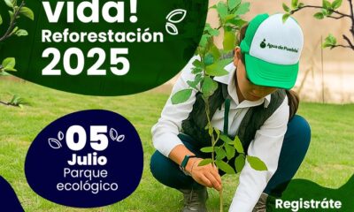 Agua de Puebla convoca a la Reforestación 2025 este 5 de julio. Lleva pala y guantes y contribuye a un entorno más verde y saludable.