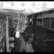 Vecinos de la colonia Maestro Federal reportan a un sujeto robando cables en la calle Luis Casarrubias #7. El hecho fue captado en video este jueves por la noche.