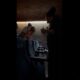 Una discusión durante la función de Eddington en la Cineteca México terminó en intento de pelea; espectadores denuncian falta de atención y seguridad en la sala.