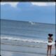 Una avioneta se estrelló en una playa de Carolina del Norte. El piloto, único tripulante, fue rescatado con vida y sin lesiones de gravedad, según informaron las autoridades.