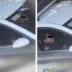 La SSC identificó a los agentes que aparecen en video teniendo relaciones sexuales en una patrulla; podrían ser suspendidos o dados de baja.