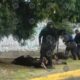 La movilización inició en Cuautlancingo y concluyó cerca de Plaza San Diego; autoridades aseguraron un tractocamión involucrado