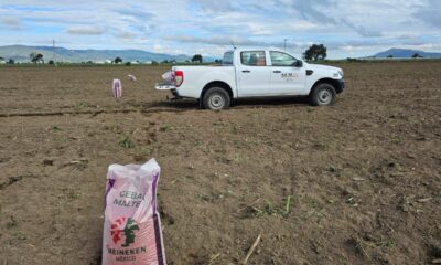 Con inversión de 500 mil pesos, la empresa apoya a 300 productores de Puebla y Veracruz para diversificar cultivos y mejorar suelos.