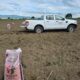 Con inversión de 500 mil pesos, la empresa apoya a 300 productores de Puebla y Veracruz para diversificar cultivos y mejorar suelos.