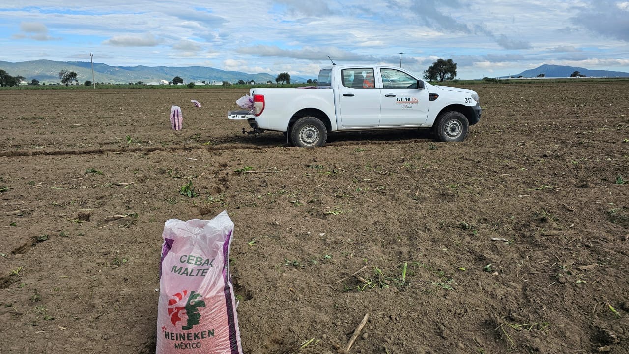 Con inversión de 500 mil pesos, la empresa apoya a 300 productores de Puebla y Veracruz para diversificar cultivos y mejorar suelos.