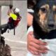 Protección Civil de San Pedro Garza García salvó a un perro arrastrado por la corriente en el arroyo El Obispo; el animal recibe atención veterinaria tras el rescate.