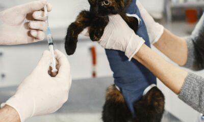 Este 21 de agosto, la Jornada Imparable llegará a Ignacio Romero Vargas con servicios gratuitos como consultas, trámites, esterilización y vacunación.