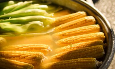 El Centro de Convenciones será sede de este encuentro gastronómico que rinde homenaje al elote con sabor, tradición y ambiente familiar.