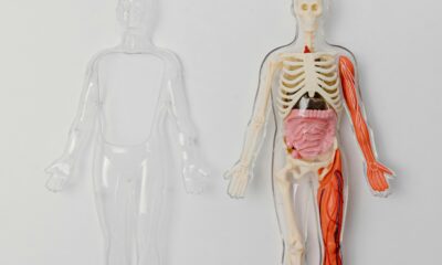 Del 20 al 22 de agosto se realizará en Puebla el Congreso de Trasplantes 2025, abordando donación, procuración multiorgánica y avances médicos.